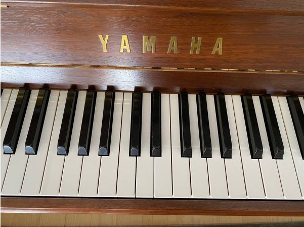 YAMAHA 雅马哈SX101WnC 